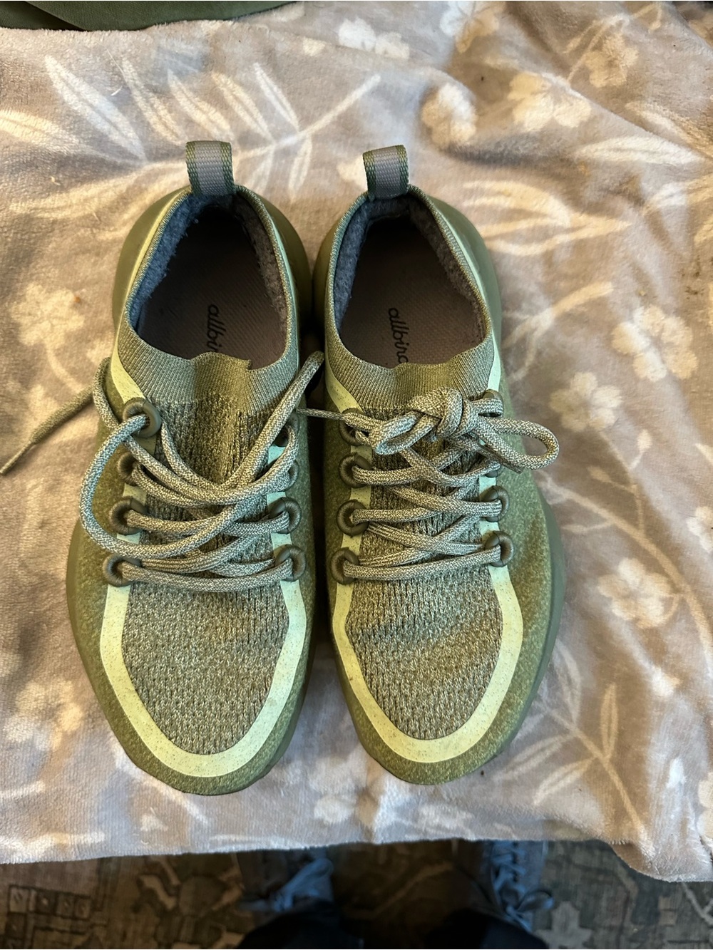 Allbirds Green Wool Dasher Sneakers